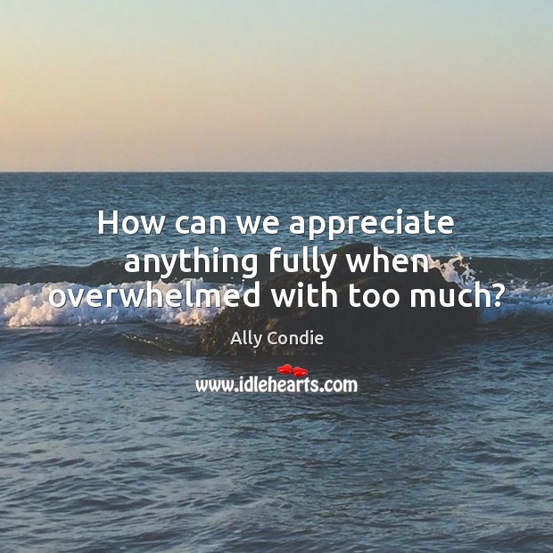 How can we appreciate anything fully when overwhelmed with too much? Image