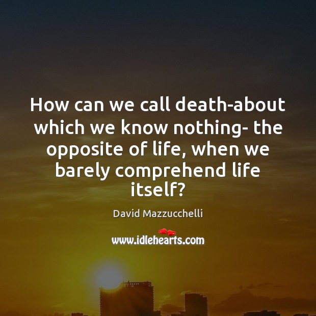 How can we call death-about which we know nothing- the opposite of David Mazzucchelli Picture Quote
