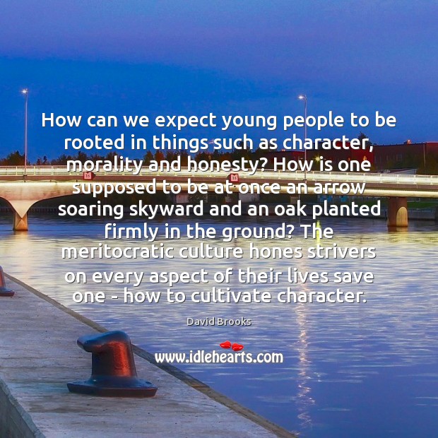 How can we expect young people to be rooted in things such David Brooks Picture Quote