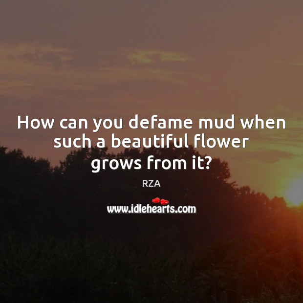 How can you defame mud when such a beautiful flower grows from it? RZA Picture Quote