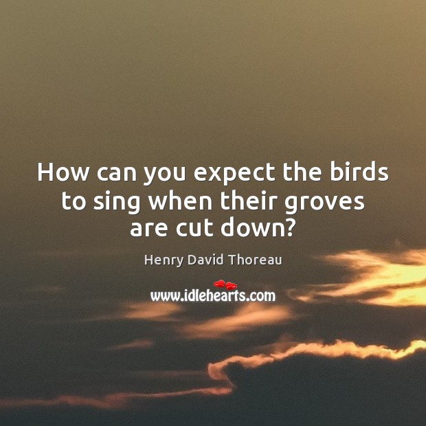 How can you expect the birds to sing when their groves are cut down? Image