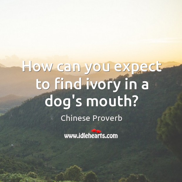 How can you expect to find ivory in a dog’s mouth? Chinese Proverbs Image