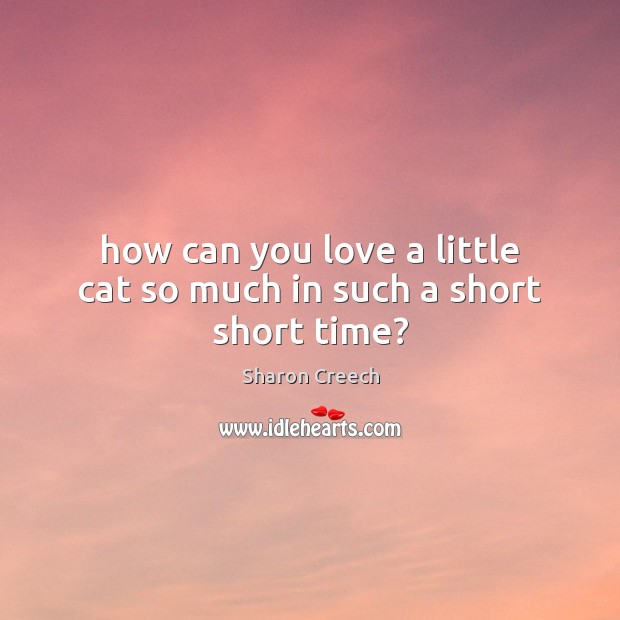 How can you love a little cat so much in such a short short time? Sharon Creech Picture Quote