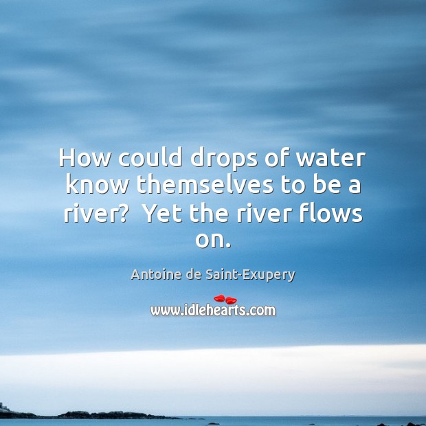 How could drops of water know themselves to be a river?  Yet the river flows on. Antoine de Saint-Exupery Picture Quote
