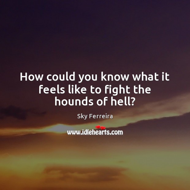 How could you know what it feels like to fight the hounds of hell? Sky Ferreira Picture Quote