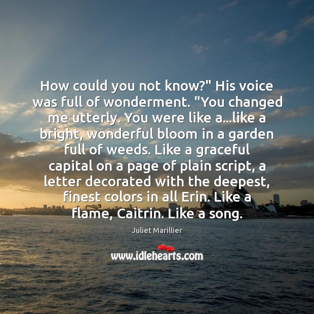 How could you not know?” His voice was full of wonderment. “You Image