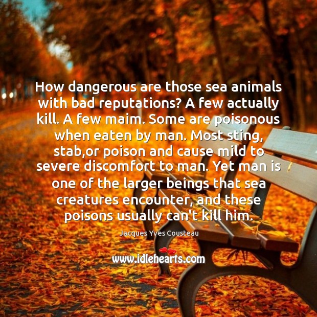 How dangerous are those sea animals with bad reputations? A few actually Jacques Yves Cousteau Picture Quote