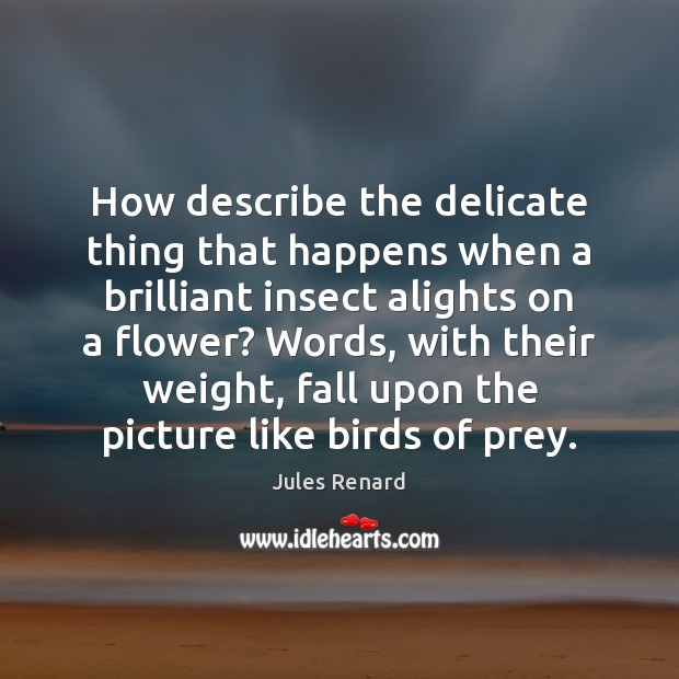 How describe the delicate thing that happens when a brilliant insect alights Jules Renard Picture Quote