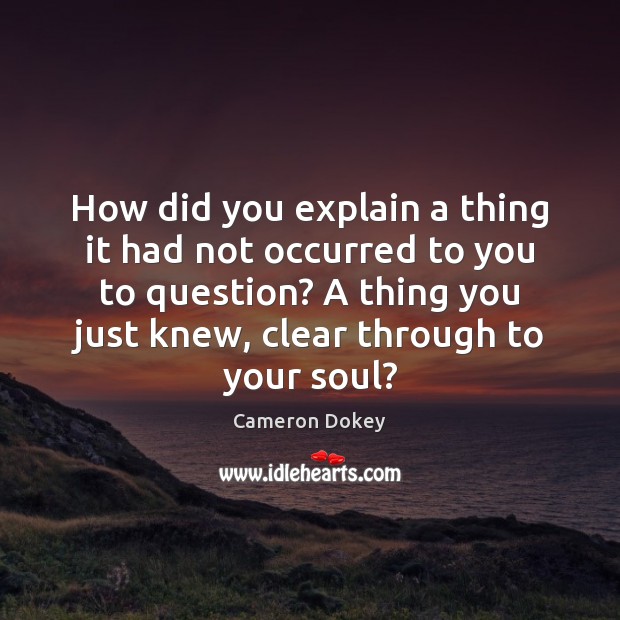 How did you explain a thing it had not occurred to you Cameron Dokey Picture Quote