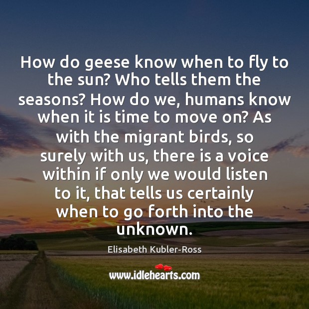 How do geese know when to fly to the sun? Who tells Elisabeth Kubler-Ross Picture Quote