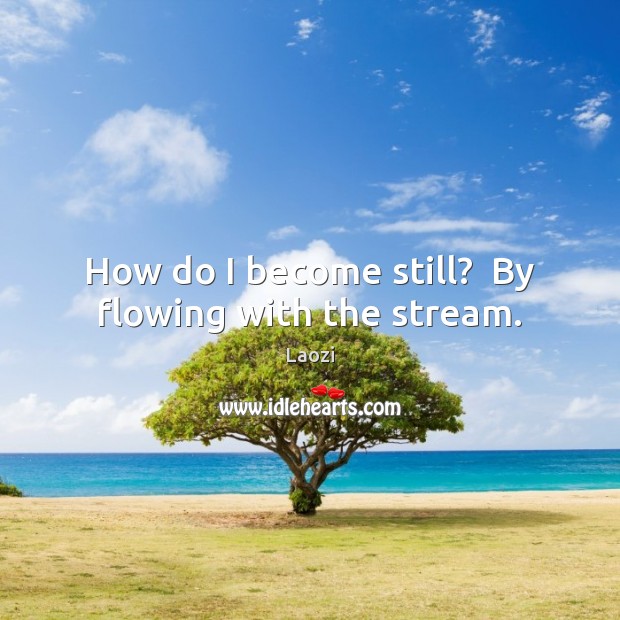 How do I become still?  By flowing with the stream. Image