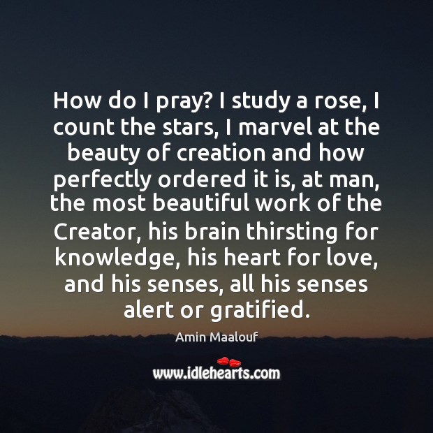 How do I pray? I study a rose, I count the stars, Amin Maalouf Picture Quote
