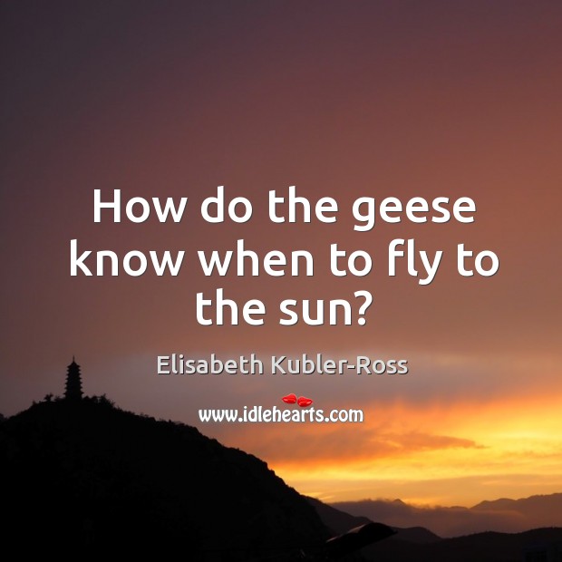 How do the geese know when to fly to the sun? Elisabeth Kubler-Ross Picture Quote