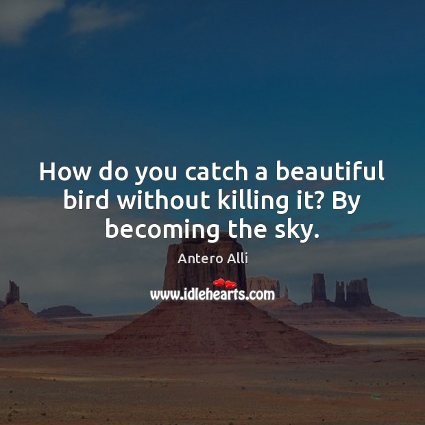 How do you catch a beautiful bird without killing it? By becoming the sky. Antero Alli Picture Quote