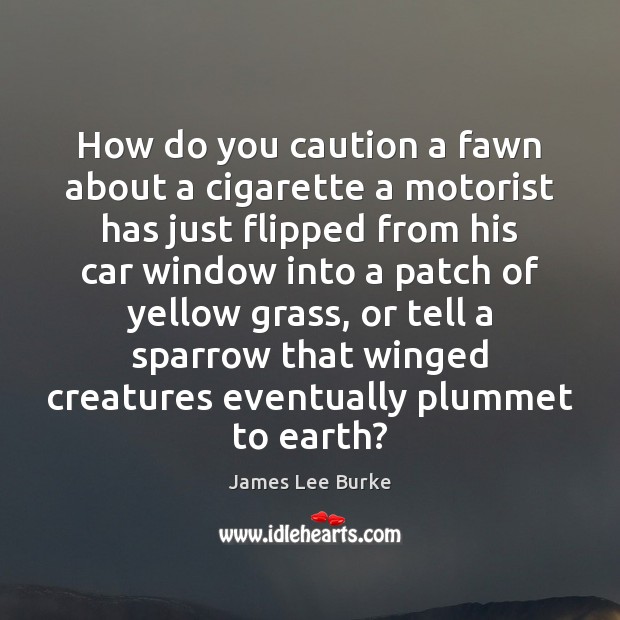 How do you caution a fawn about a cigarette a motorist has James Lee Burke Picture Quote