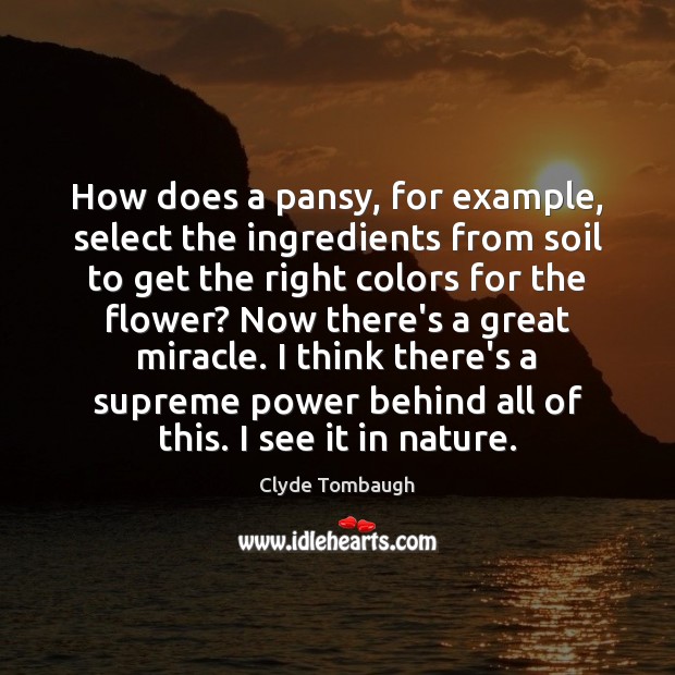How does a pansy, for example, select the ingredients from soil to Clyde Tombaugh Picture Quote