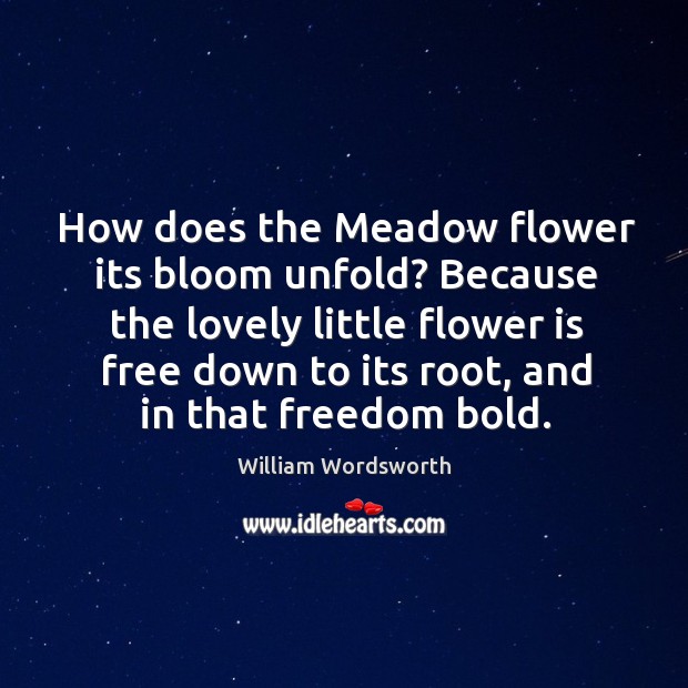 How does the meadow flower its bloom unfold? because the lovely little flower is free down to its root Flowers Quotes Image