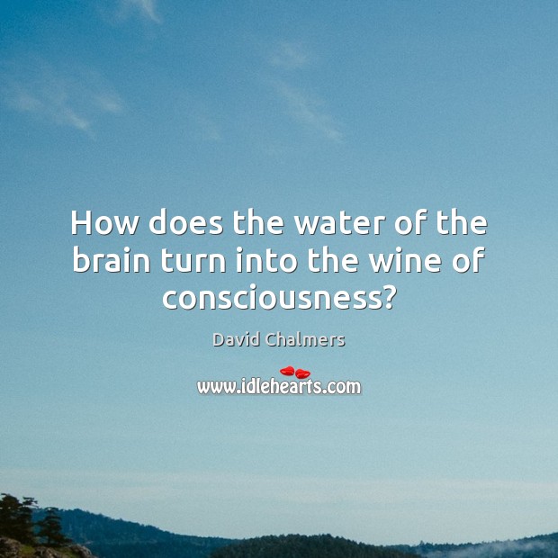 How does the water of the brain turn into the wine of consciousness? Image