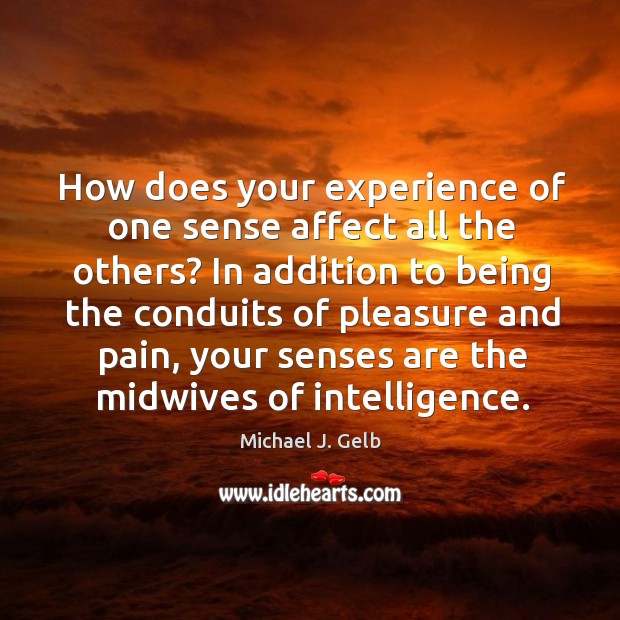 How does your experience of one sense affect all the others? In Michael J. Gelb Picture Quote