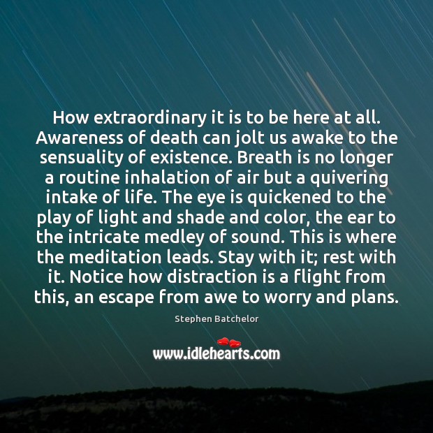 How extraordinary it is to be here at all. Awareness of death Stephen Batchelor Picture Quote