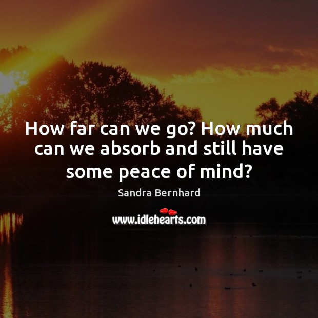How far can we go? How much can we absorb and still have some peace of mind? Sandra Bernhard Picture Quote