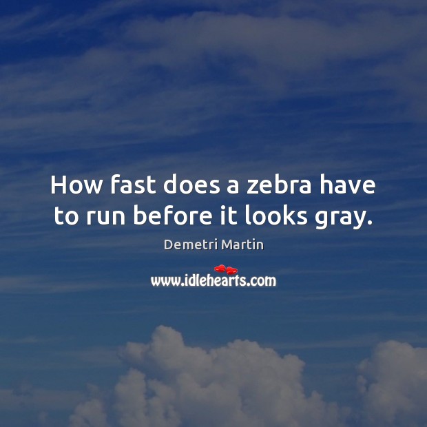 How fast does a zebra have to run before it looks gray. Demetri Martin Picture Quote