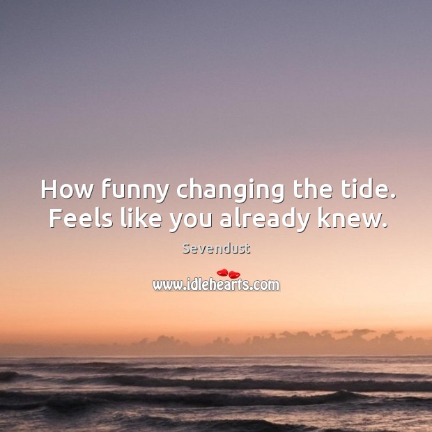 How funny changing the tide. Feels like you already knew. Sevendust Picture Quote