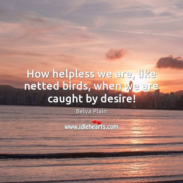How helpless we are, like netted birds, when we are caught by desire! Belva Plain Picture Quote
