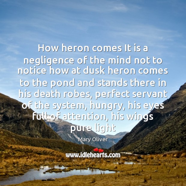 How heron comes It is a negligence of the mind not to Mary Oliver Picture Quote