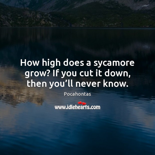 How high does a sycamore grow? If you cut it down, then you’ll never know. Pocahontas Picture Quote