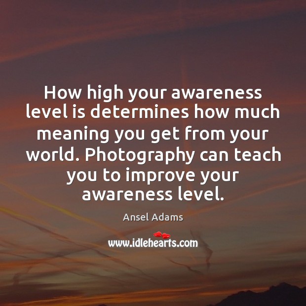 How high your awareness level is determines how much meaning you get Ansel Adams Picture Quote