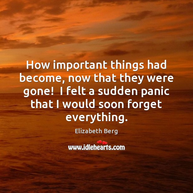 How important things had become, now that they were gone!  I felt Elizabeth Berg Picture Quote