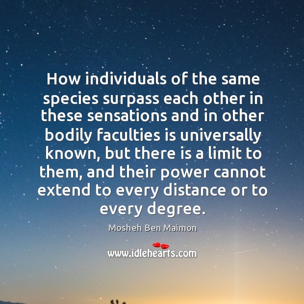 How individuals of the same species surpass each other in these sensations Mosheh Ben Maimon Picture Quote