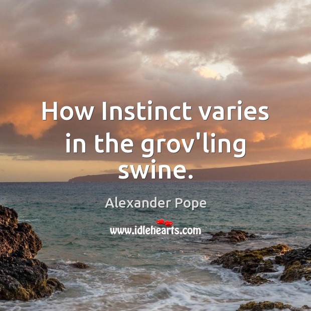 How Instinct varies in the grov’ling swine. Alexander Pope Picture Quote