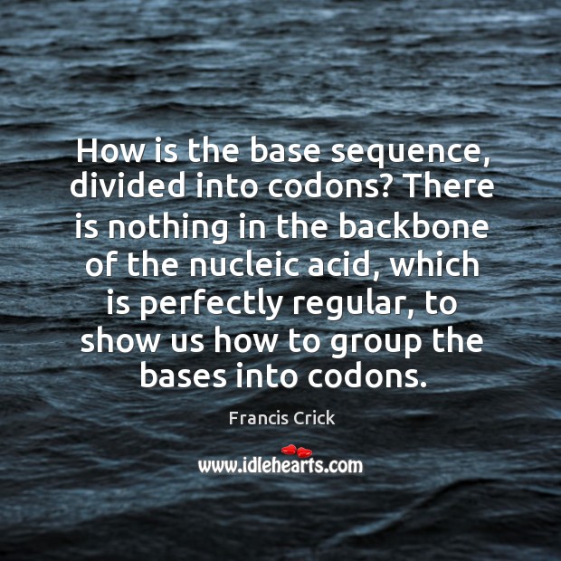 How is the base sequence, divided into codons? there is nothing in the backbone of the nucleic acid Francis Crick Picture Quote