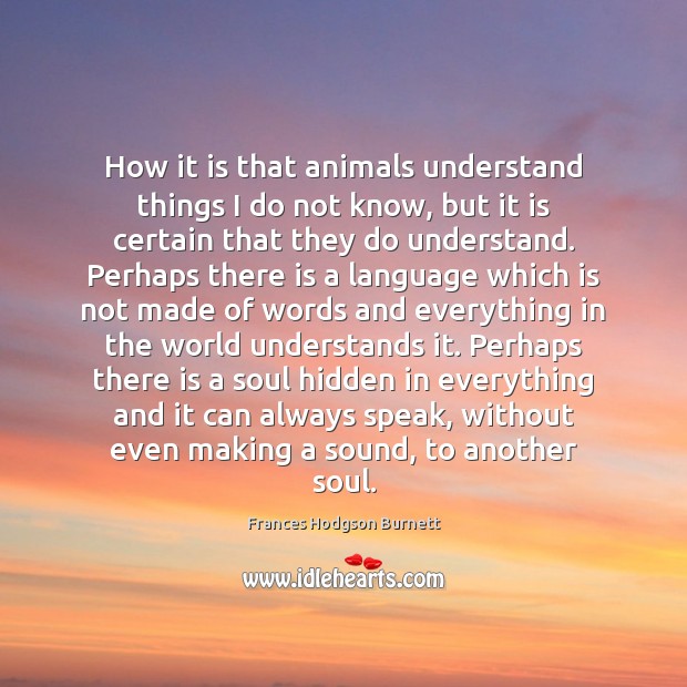 How it is that animals understand things I do not know, but Image