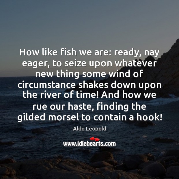 How like fish we are: ready, nay eager, to seize upon whatever Image