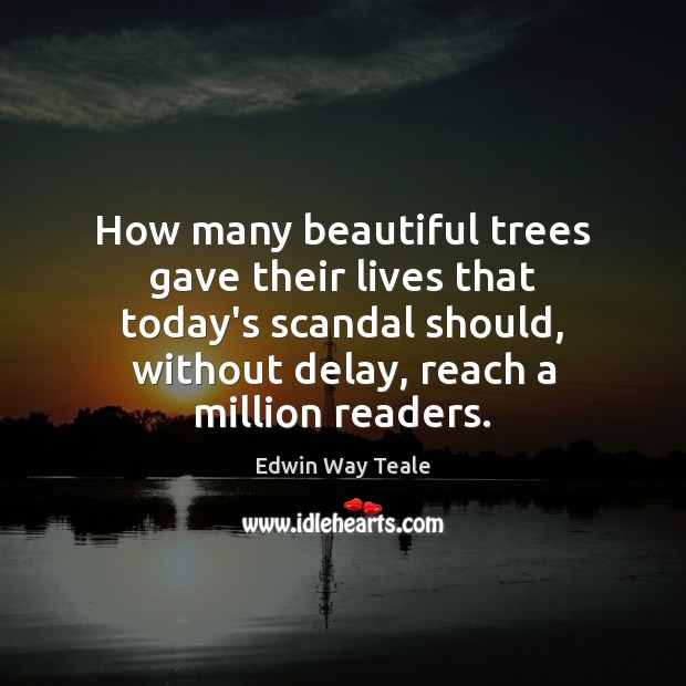 How many beautiful trees gave their lives that today’s scandal should, without 
