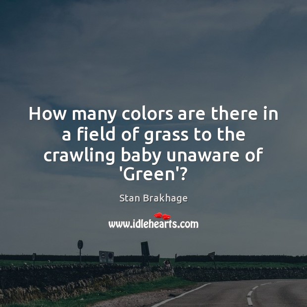 How many colors are there in a field of grass to the crawling baby unaware of ‘Green’? Image