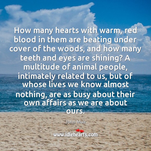 How many hearts with warm, red blood in them are beating under John Muir Picture Quote