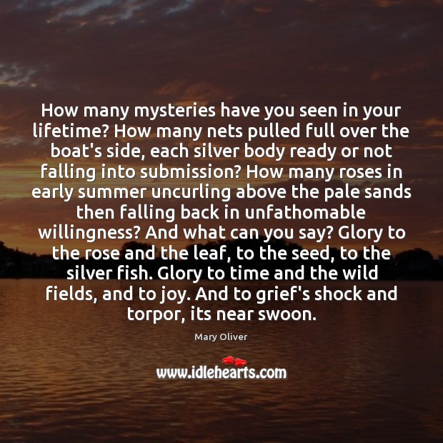 How many mysteries have you seen in your lifetime? How many nets Mary Oliver Picture Quote