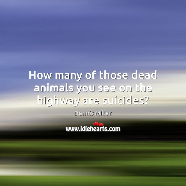 How many of those dead animals you see on the highway are suicides? Dennis Miller Picture Quote