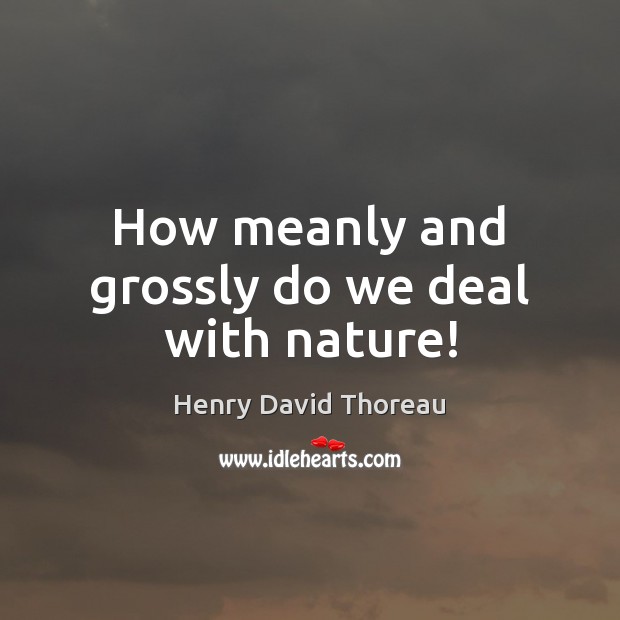 How meanly and grossly do we deal with nature! Henry David Thoreau Picture Quote