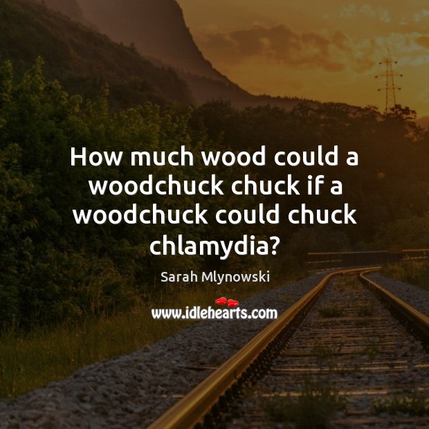 How much wood could a woodchuck chuck if a woodchuck could chuck chlamydia? Sarah Mlynowski Picture Quote