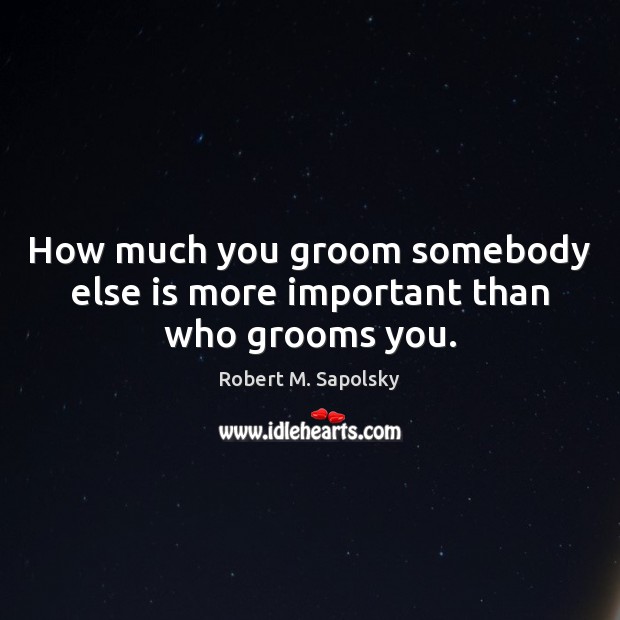 How much you groom somebody else is more important than who grooms you. Robert M. Sapolsky Picture Quote