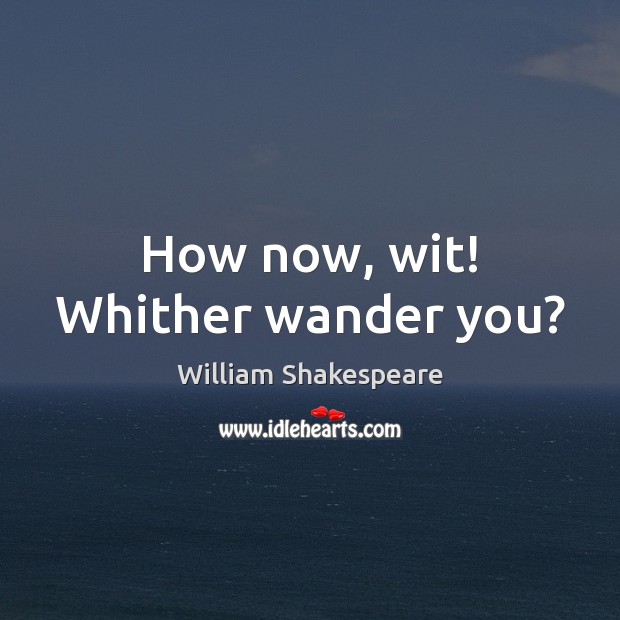 How now, wit! Whither wander you? William Shakespeare Picture Quote