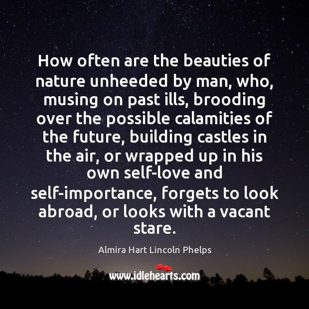 How often are the beauties of nature unheeded by man, who, musing Almira Hart Lincoln Phelps Picture Quote
