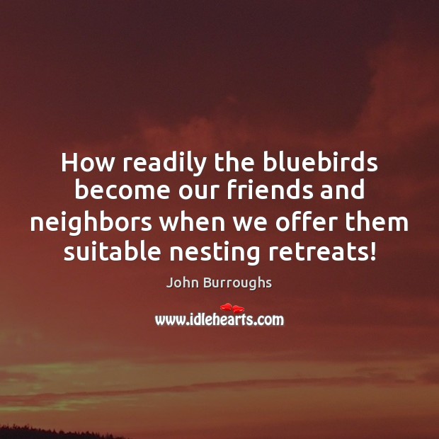 How readily the bluebirds become our friends and neighbors when we offer John Burroughs Picture Quote