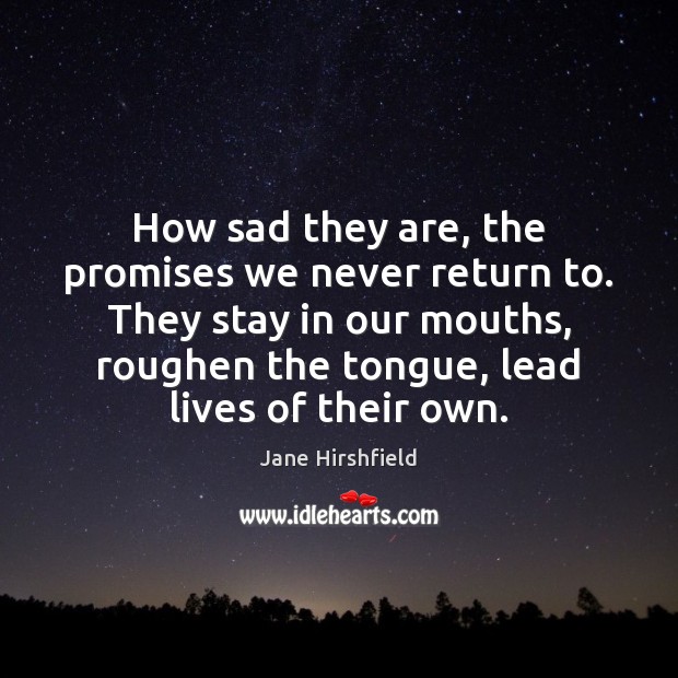 How sad they are, the promises we never return to. They stay Jane Hirshfield Picture Quote