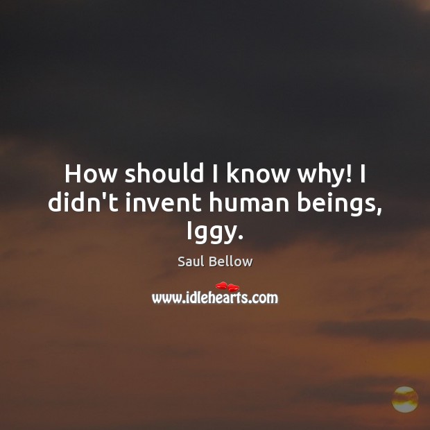 How should I know why! I didn’t invent human beings, Iggy. Image